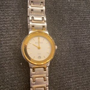 Skagen Denmark Watch